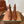 LP latest short boots brown suede 388104