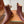 LP latest short boots dark brown calfskin 388109