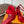 LV Swing Platform Sandal 8.5cm Red Satin 578756