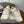 Brunello Runners With Shiny Eyelets White Suede Cotton 624468