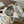 Brunello Runners With Shiny Eyelets Grey Suede Cotton 624469
