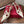 VT Studdy Pumps 65mm White Red Leather 624353