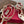 VT Studdy Pumps 95mm White Red Leather 624358