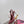 DC Slingback Pumps Pink Silk & Sheepskin 343142