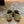 CL Mocallista Loafers Taupe Suede 637427