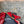 CC Double Bow Sandal 2cm Red Sheepskin 804020