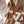 CC 25 Scarf 220cm White Brown Lambswool 968414