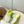 BLC Jet Sneaker Neon Green White TPU Mesh 986306