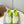 BLC Jet Sneaker Neon Green White TPU Mesh 986306