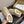 UGG Tazz Sunwave Slippers Chestnut White Suede