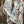 HM Starry Night Chorus Double-Sided Scarf 140cm Beige Silk Cashmere 143716