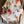 HM 26s Double-sided Scarf 140cm Blanc Silk Cashmere 153156