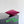 BV Small Dustbag 21cm Cinnabar Intrecciato Calfskin Leather