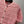 CC 2026 Openwork Knit Sweater Cardigan 402075