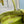 Pra Bonnie Bag 24cm Green Suede Leather 293818