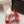 DG Pumps Crystals 9cm Red Taormina Lace 663084