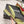 CC 2026 Slingbacks Flat Green White Lambskin 721434