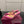 GG Pointed-Toe Mules 9.5cm Pink Cowhide 725304