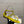 HM Milos Sandal Yellow Suede 829170