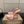 CL 2026 Just Loubi 14.5cm Mules Pink PVC Lambskin 828174