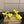 CL 2026 Just Loubi 14.5cm Mules Yellow PVC Lambskin 828178