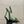 YSL Chica Slingback 10.5cm Green Leather 828240