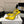 YSL Chica Slingback 10.5cm Yellow Leather 828241