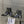 CC 26s Ankle Boots Black Glossy Lambskin 948059