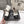 CC 26s Square-Toe Lace-Up Shoes with Leopard Print Scarf Black White Leather 946031