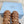 Prad 26s Fisherman Platform Sandals 8.5cm Brown Raffia 122239