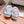 Miu Miu 2026 Crystal Embellished Sneaker Canvas 976963