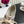 CD Dioriviera Walk'n'Dior Sneaker Beige Cotton 851250