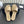 CC 26s Flat Sandals Beige Quited Leather 906219