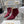 CD Tribales Heeled Ankle Boot 65mm In Burgundy Suede 996428
