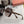 RUNWAY SQUARE SUNGLASSES M2100 IN ACETATE