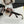MONTAIGNE SQUARE SUNGLASS CD5296 IN ACETATE
