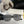 BUTTERFLY FRAME SUNGLASSES G580 IN ACETATE