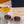 CAT EYE SUNGLASSES 2614 IN ACETATE