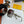 LARGE SQUARE SUNGLASS L1845 IN ACETATE