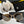 CC CH6314 Metal Sunglasses 189367