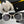 CC CH6314 Metal Sunglasses 189367