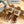 Loew Anagram Beige Brown Leather And Canvas Espadrille Sandals