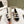 espadrilles white tweed black canvas
