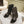 CC 24ss Fold-Over Low Boots 40mm Black Quilted Sheepskin 447478
