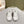 Miu Gymnasium Sneakers Brown White Technical Fabric & Suede 445725