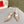 RC 25C Slingback Diamond High Heel 7.5cm Beige Silk Rhinestones 268079