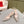 RC 25 Diamond Lace High Heeled Sandals Pink Nude Sheepskin 268056