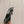 Miu Mordoré Slingback Pumps 85mm Black Cowhide Sheepskin 445793