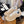 cc classic sneaker beige fabric calfskin
