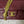 25C Mini Flap 19cm Burgundy Lambskin Gold Heart Hardware